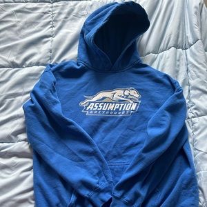 Assumption University hoodie/ sweatshirt